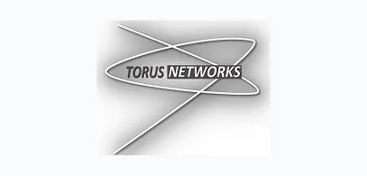 Torus Networks